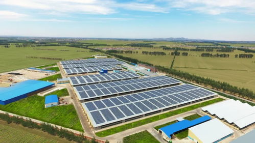 5年超百億，開啟品牌新紀元的越秀輝山憑什么豪賭未來